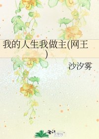我的人生我做主(网王)