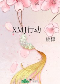 《XMJ行动》