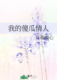 《我的傻瓜情人》