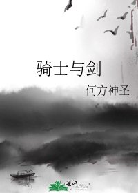 《骑士与剑》