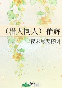 《(猎人同人)罹辉》