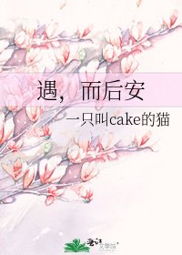 《遇,而后安》