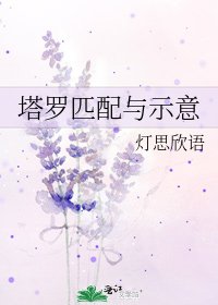 《塔罗匹配与示意》