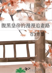 《腹黑皇帝的漫漫追妻路》