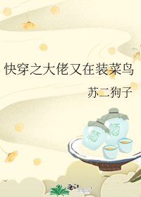 《快穿之大佬又在装菜鸟》