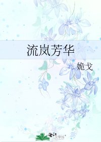 《流岚芳华》