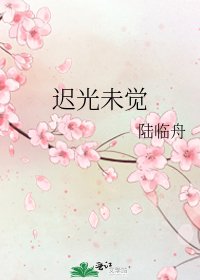 《迟光未觉》