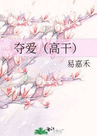 《夺爱(高干)》