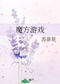 《魔方游戏》