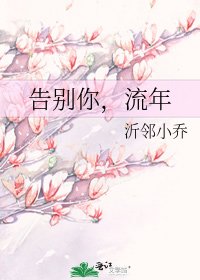 《告别你,流年》
