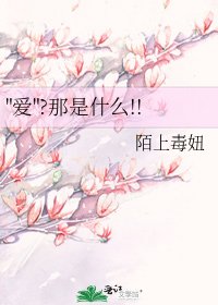 《