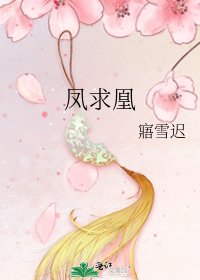 《凤求凰》