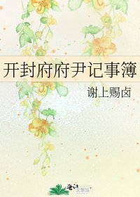 《开封府府尹记事簿》