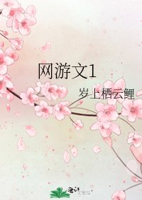 《网游文1》