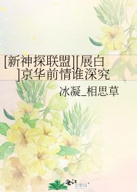 [新神探联盟][展白]京华前情谁深究