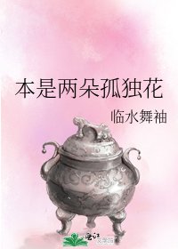 《本是两朵孤独花》
