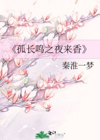 《孤长鸣之夜来香》