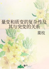 《量变和质变的复杂性及其与突变的关系》