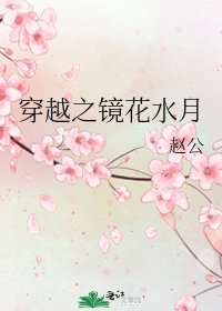 《穿越之镜花水月》