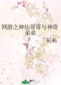 《网游之神仙哥哥与神奇弟弟》
