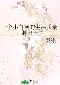 《一个小白领的生活质量:卿出于兰》