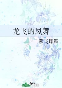 《龙飞的凤舞》