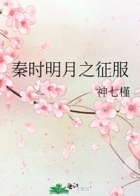 《秦时明月之征服》
