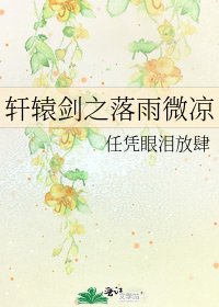 《轩辕剑之落雨微凉》