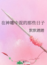 《在神雕中混的那些日子》