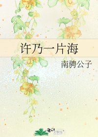 《许乃一片海》