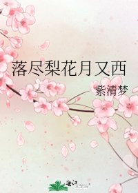 《落尽梨花月又西》