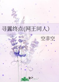 《寻翼终点(网王同人)》