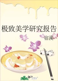 《极致美学研究报告》