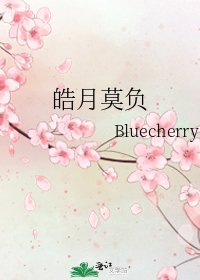 《皓月莫负》