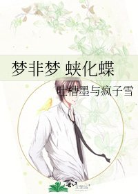 《梦非梦 蛱化蝶》