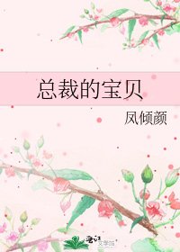 《总裁的宝贝》