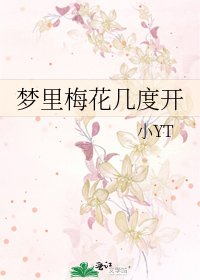《梦里梅花几度开》