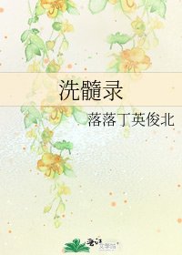 《洗髓录》