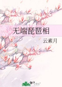《无端琵琶相》