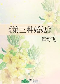 《第三种婚姻》
