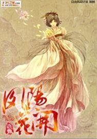 《凤阳花开》