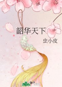 《韶华天下》