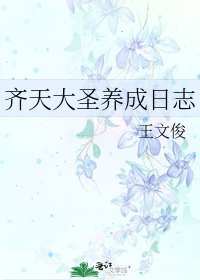 《齐天大圣养成日志》