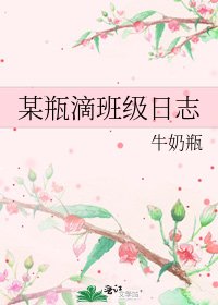《某瓶滴班级日志》