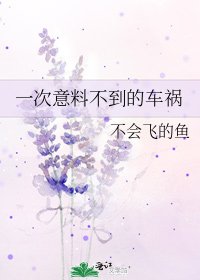《一次意料不到的车祸》