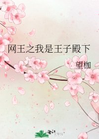 《网王之我是王子殿下》