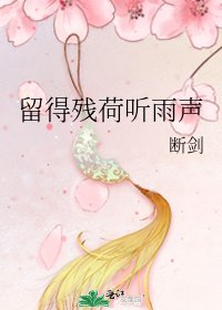 《留得残荷听雨声》