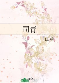 《司青》