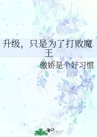 《升级,只是为了打败魔王》
