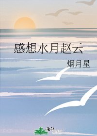 《感想水月赵云》